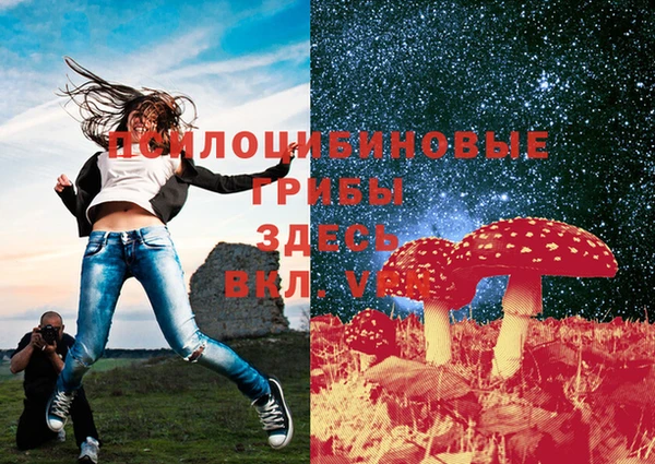 марихуана Абаза